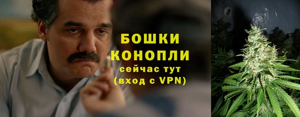 трава Кинешма