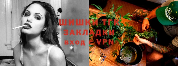трава Кинешма