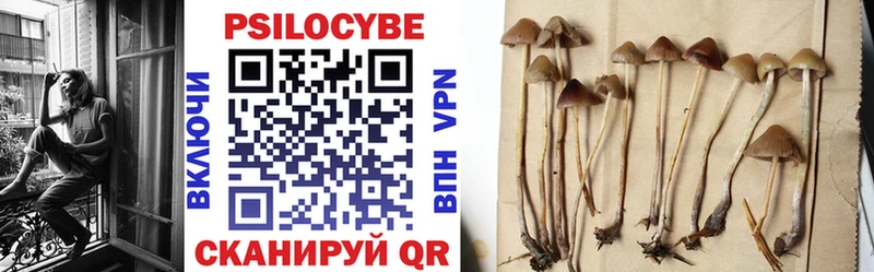 магазин продажи MEGA как зайти Галлюциногенные грибы Psilocybine cubensis Слободской
