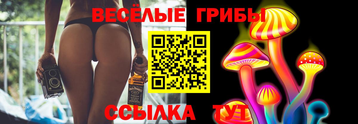 Псилоцибиновые грибы Cubensis Слободской