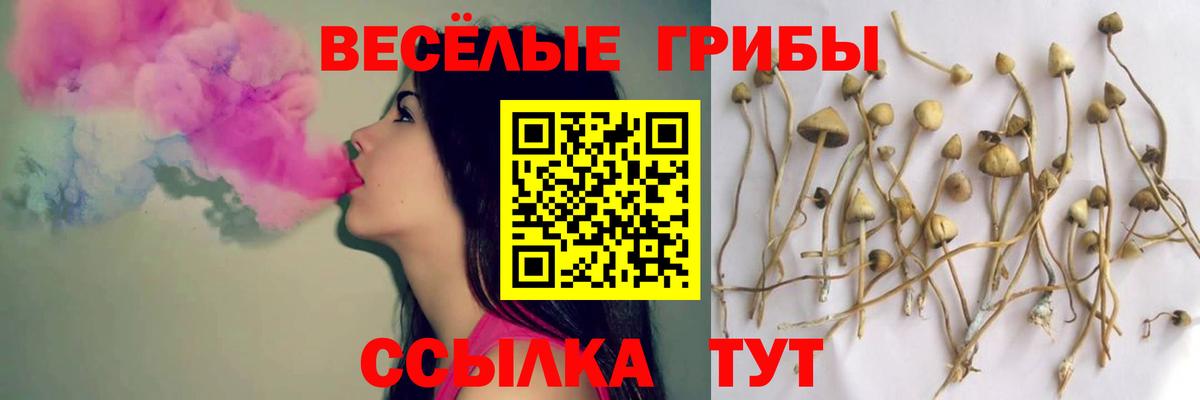 Псилоцибиновые грибы прущие грибы  Галлюциногенные грибы MAGIC MUSHROOMS  Слободской  Вход с VPN 